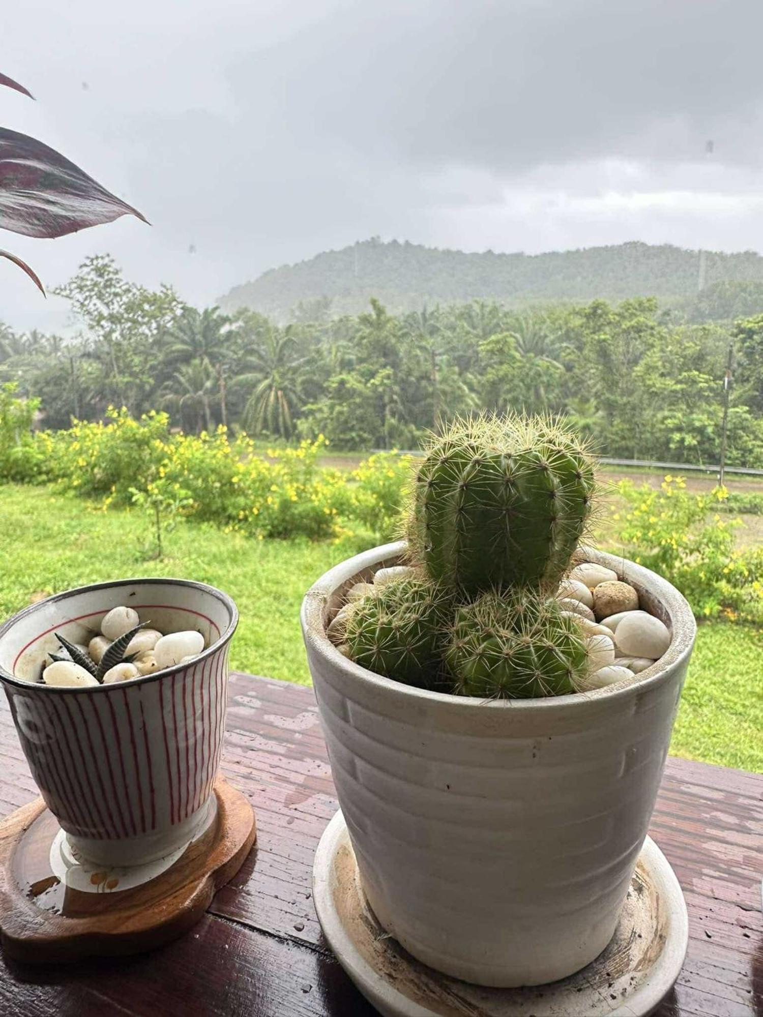 บ้านสวนปิยนันท์ ヤオノイ島 エクステリア 写真